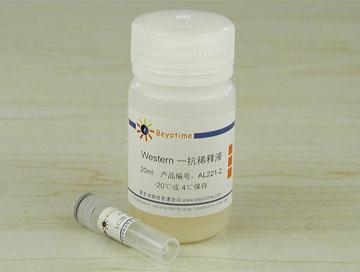 LC3B抗体(兔多抗)